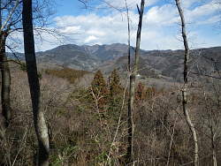 鉄塔から見た風景