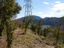鉄塔(八つ沢線17)と開けた柑橘畑
