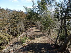 鉄塔(八つ沢線18)を過ぎた尾根道