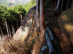 大きな一枚岩