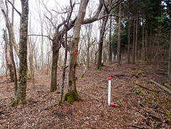 押立山、山頂部と思われる場所