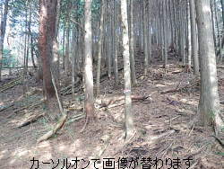 鳥手山西斜面下