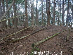 山頂部