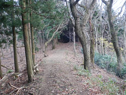 広い道