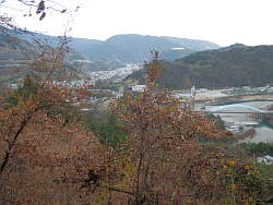 山北市街地と酒匂川に架かる橋