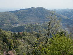 小倉山か?