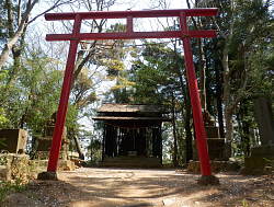 飯綱神社(飯綱曲輪跡)
