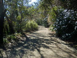 山頂へ続く道路