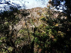 鞍部辺りで阿部倉山?が見える
