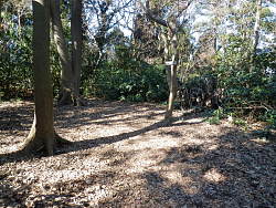 山頂部