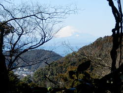 唯一の富士山