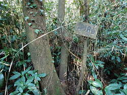 ひっそり掛かっている山頂標識