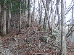 尾根上の風景