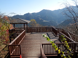 園内展望台