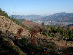 伐採地辺りからの風景