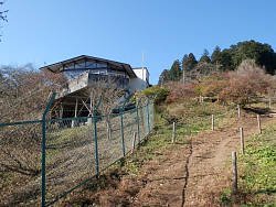 柵沿いからレストハウスを見る