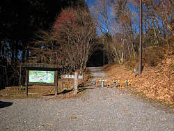 神社(キャンプ場)駐車場