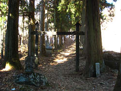 両脇に杉が植えられた参道