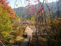 展望台から