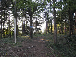 山頂(御嶽城の本郭跡)