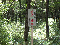 まむし注意標識が多くある