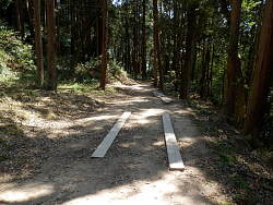 中腹の道
