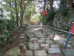 参道を下り始めたところから
