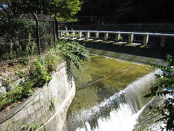 疎水