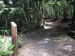 山頂手前の最後の分岐点
