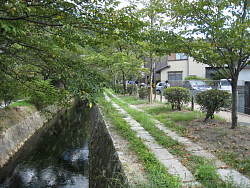 疎水と哲学の道