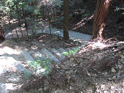 階段状の山道