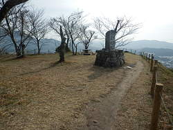 登った場所からの風景