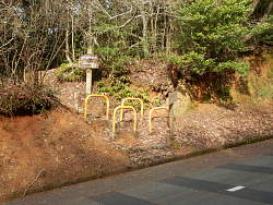 車道から山道へ