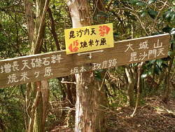 坂本・政庁跡の分岐
