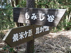 もみじ谷分岐