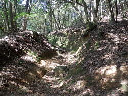 深く抉れた道