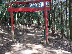 木製の赤い鳥居