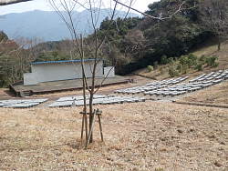 野外音楽堂