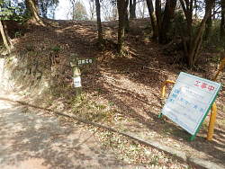 道路からの入口