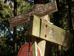 松川の分岐