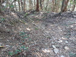 下り始めの風景