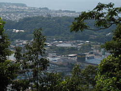 佐和山から彦根城遠望