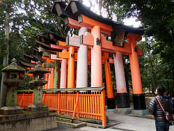 千本鳥居の始まり