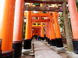 鳥居のトンネル