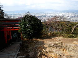 四つ辻の岩場からの眺め