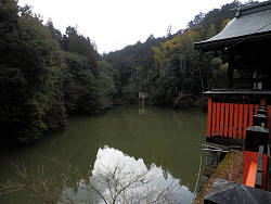 新池