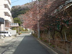 線路沿いを突き当たりまで行く