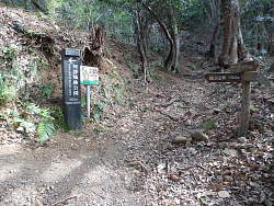 分岐、直進すれば片瀬山