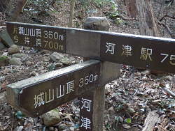 標識拡大