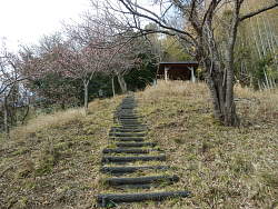 上に東屋